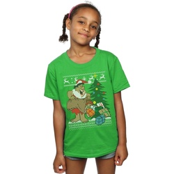 Vêtements Fille T-shirts manches longues The Flintstones Christmas Fair Isle Vert
