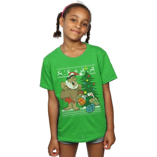 Vêtements Fille T-shirts manches longues The Flintstones Christmas Fair Isle Vert