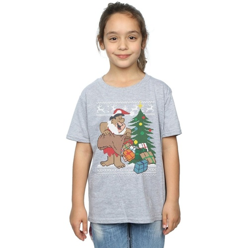 Vêtements Fille T-shirts manches longues The Flintstones Christmas Fair Isle Gris