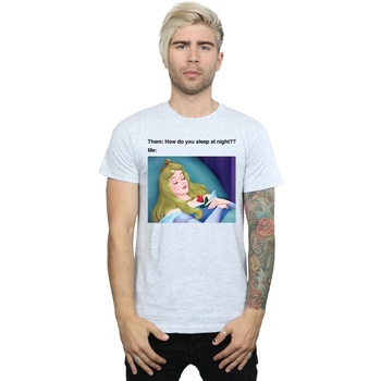 Vêtements Homme T-shirts manches longues Disney Sleeping Beauty Meme Gris