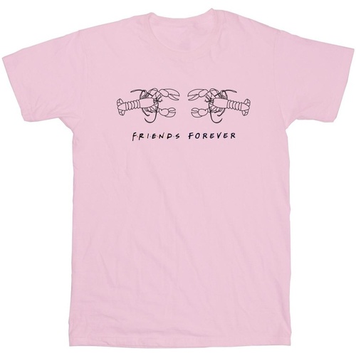 Vêtements Garçon T-shirts manches courtes Friends Lobster Logo Rouge