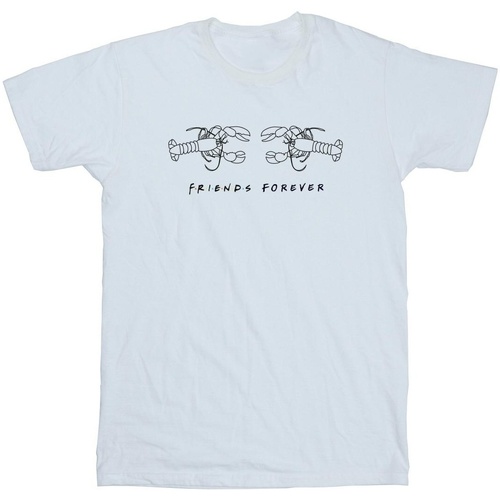 Vêtements Garçon T-shirts manches courtes Friends Lobster Logo Blanc