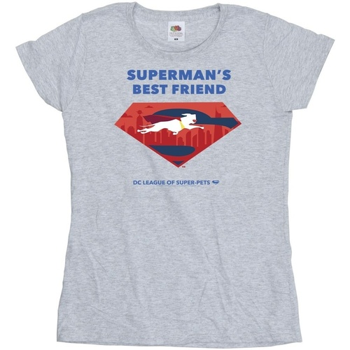 Vêtements Femme T-shirts manches longues Dc Comics DC League Of Super-Pets Superman's Best Friend Gris