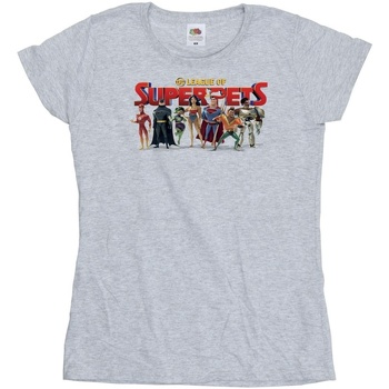Vêtements Femme T-shirts manches longues Dc Comics DC League Of Super-Pets Group Logo Gris
