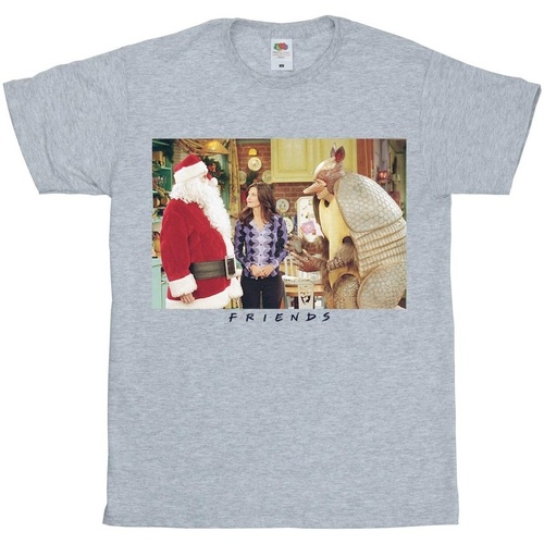 Vêtements Fille T-shirts manches longues Friends Christmas Armadillo Gris
