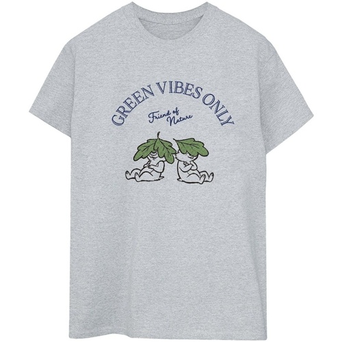 Vêtements Femme T-shirts manches longues Disney Chip 'n Dale Green Vibes Only Gris