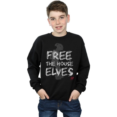 Vêtements Garçon Sweats Harry Potter Dobby Free The House Elves Noir