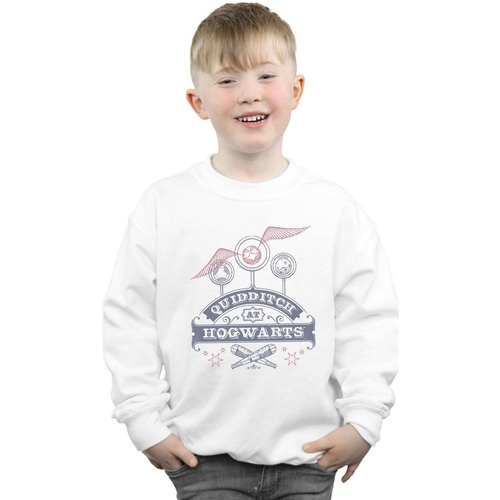 Vêtements Garçon Sweats Harry Potter Enfant 2-12 ans Blanc