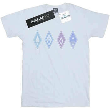 Vêtements Fille T-shirts manches longues Disney Frozen 2 Elements Symbols Blanc