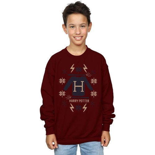 Vêtements Garçon Sweats Harry Potter Christmas Knit Multicolore