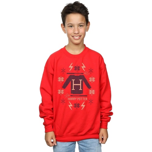 Vêtements Garçon Sweats Harry Potter Christmas Knit Rouge