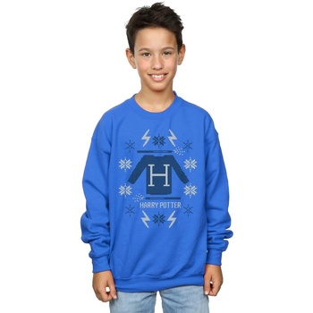 Vêtements Garçon Sweats Harry Potter Christmas Knit Bleu