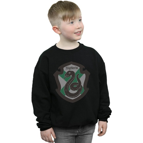Vêtements Garçon Sweats Harry Potter Slytherin Crest Flat Noir