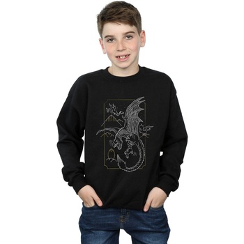 Vêtements Garçon Sweats Harry Potter Dragon Line Art Noir