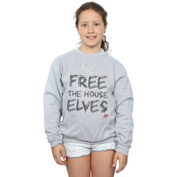 Vêtements Fille Sweats Harry Potter Dobby Free The House Elves Gris