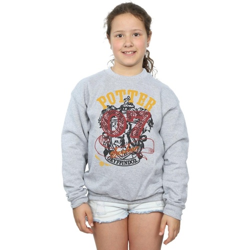 Vêtements Fille Sweats Harry Potter Gryffindor Seeker Gris