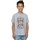 Vêtements Garçon T-shirts manches courtes Harry Potter Chocolate Frogs Mono Label Gris