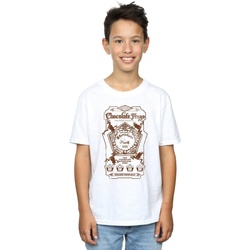 Vêtements Garçon T-shirts manches courtes Harry Potter Chocolate Frogs Mono Label Blanc