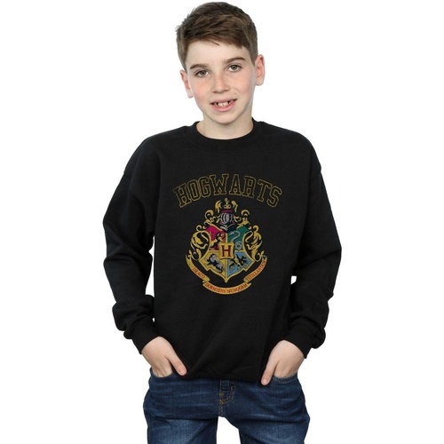 Vêtements Garçon Sweats Harry Potter Varsity Style Crest Noir