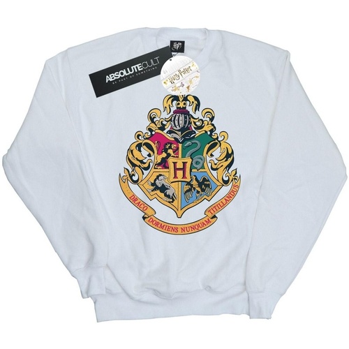 Vêtements Garçon Sweats Harry Potter Hogwarts Crest Gold Ink Blanc