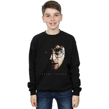 Vêtements Garçon Sweats Harry Potter Dark Portrait Noir