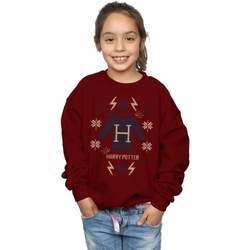 Vêtements Fille Sweats Harry Potter Christmas Knit Multicolore