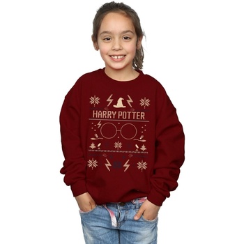 Vêtements Fille Sweats Harry Potter Christmas Pattern Multicolore