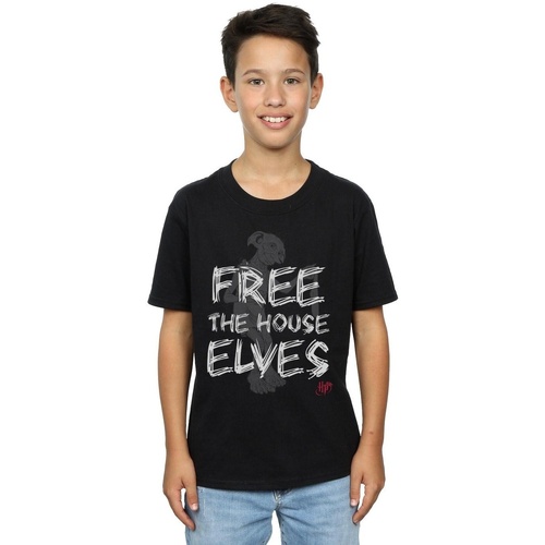 Vêtements Garçon T-shirts manches courtes Harry Potter Dobby Free The House Elves Noir