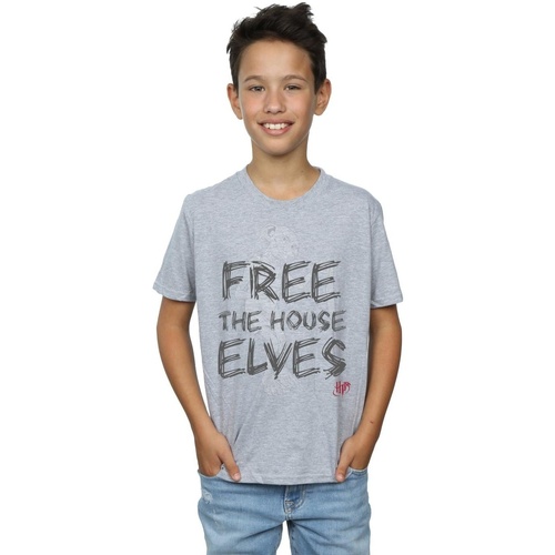 Vêtements Garçon T-shirts manches courtes Harry Potter Dobby Free The House Elves Gris
