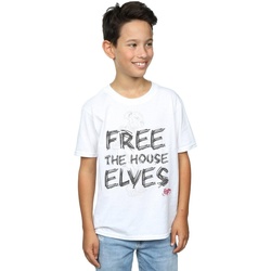 Vêtements Garçon T-shirts manches courtes Harry Potter Dobby Free The House Elves Blanc