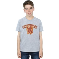 Vêtements Garçon T-shirts manches courtes Harry Potter Gryffindor Sport Emblem Gris