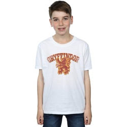 Vêtements Garçon T-shirts manches courtes Harry Potter Gryffindor Sport Emblem Blanc