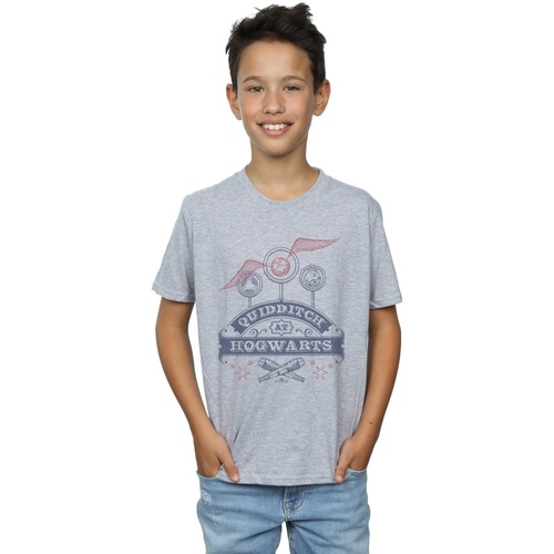 Vêtements Garçon T-shirts manches courtes Harry Potter Hardwired Jumbo T-Shirts Gris