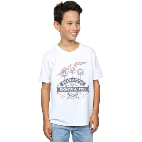 Vêtements Garçon T-shirts manches courtes Harry Potter Carhartt WIP Anglistic Sweater i marineblå Blanc