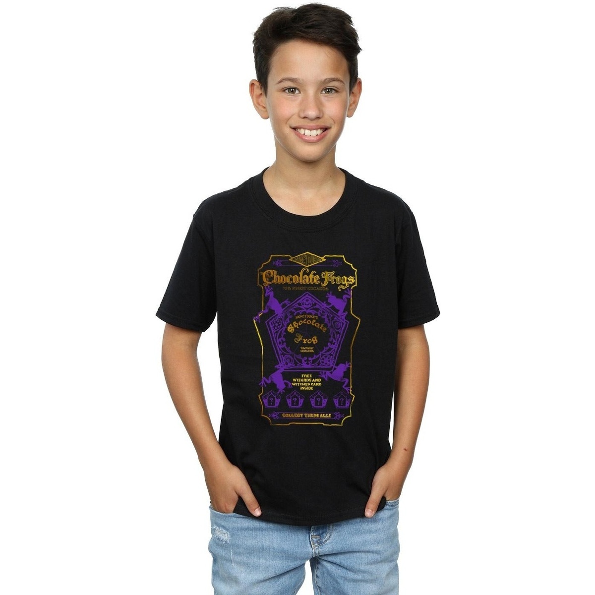 Vêtements Garçon T-shirts manches courtes Harry Potter Chocolate Frogs Coloured Label Noir