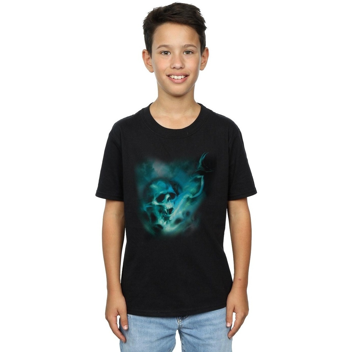 Vêtements Garçon T-shirts manches courtes Harry Potter Voldemort Dark Mark Mist Noir