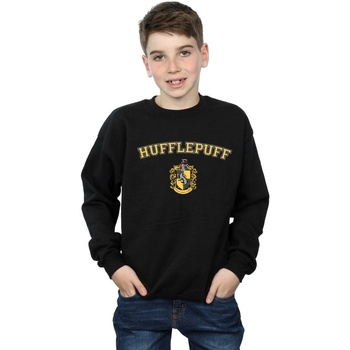 Vêtements Garçon Sweats Harry Potter Hufflepuff Crest Noir