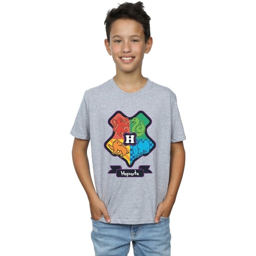 Vêtements Garçon T-shirts manches courtes Harry Potter Hogwarts Junior Crest Gris