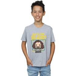 Vêtements Garçon T-shirts manches courtes Harry Potter Sirius Black Azkaban Junior Gris