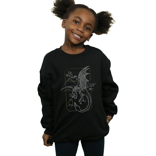 Vêtements Fille Sweats Harry Potter Dragon Line Art Noir