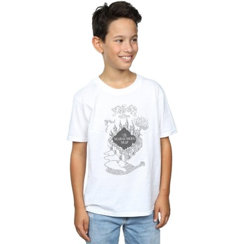 Vêtements Garçon T-shirts manches courtes Harry Potter The Marauder's Map Blanc