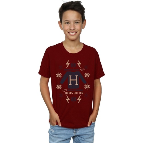 Vêtements Garçon T-shirts manches courtes Harry Potter Christmas Knit Multicolore