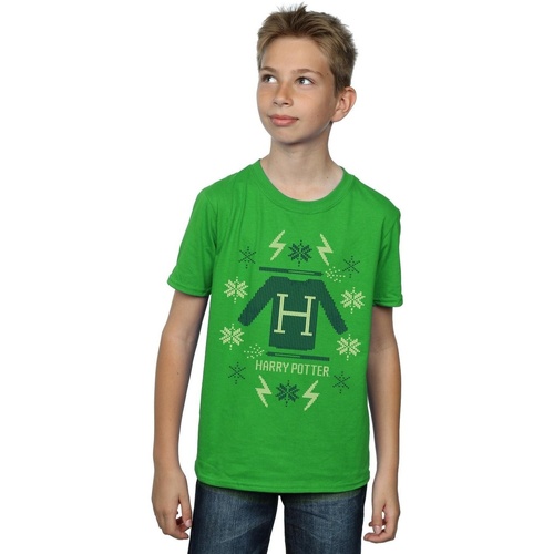 Vêtements Garçon T-shirts manches courtes Harry Potter Christmas Knit Vert