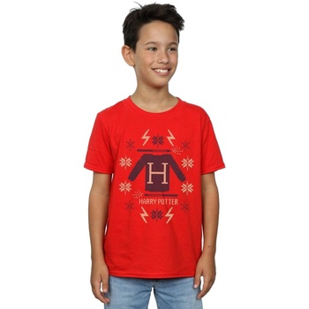 Vêtements Garçon T-shirts manches courtes Harry Potter Christmas Knit Rouge