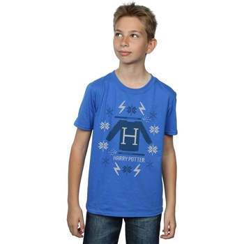 Vêtements Garçon T-shirts manches courtes Harry Potter Christmas Knit Bleu