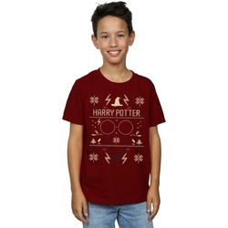 Vêtements Garçon T-shirts manches courtes Harry Potter Christmas Pattern Multicolore