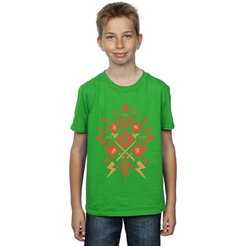 Vêtements Garçon T-shirts manches courtes Harry Potter Christmas Fair Isle Vert
