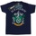 Vêtements Garçon T-shirts manches courtes Harry Potter Slytherin Crest Bleu