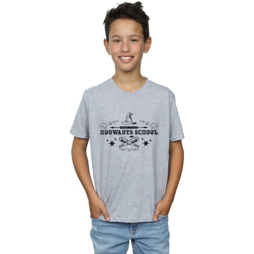 Vêtements Garçon T-shirts manches courtes Harry Potter Hogwarts First Year Gris