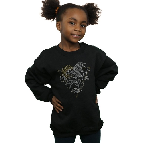 Vêtements Fille Sweats Harry Potter Bébé 0-2 ans Noir